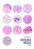 Histologia prática: tecidos